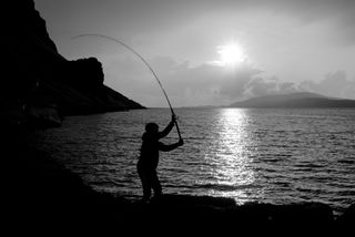 mackerel fishing
