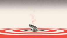 Illustration of a frog sitting on top of a red target with a swastika icon at the centre