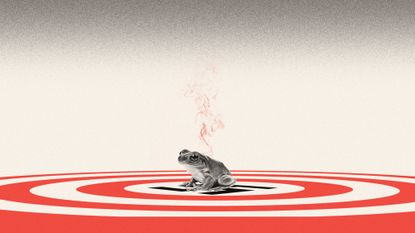 Illustration of a frog sitting on top of a red target with a swastika icon at the centre