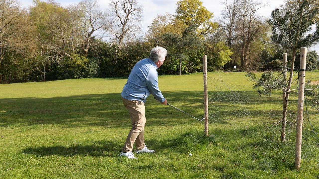 Jezz Ellwood faces a staked tree