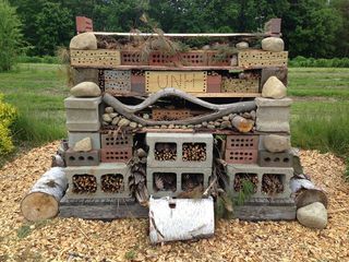 University of New Hampshire&#039;s &quot;Bee Hotel&quot;