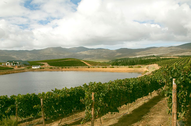 Hemel-en-aarde wineries, Creation