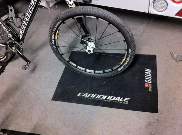 Martin Gujan's Cannondale