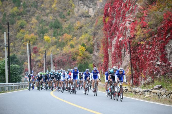 The peloton passes the fall colours