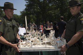 Ivory Crush Central Park