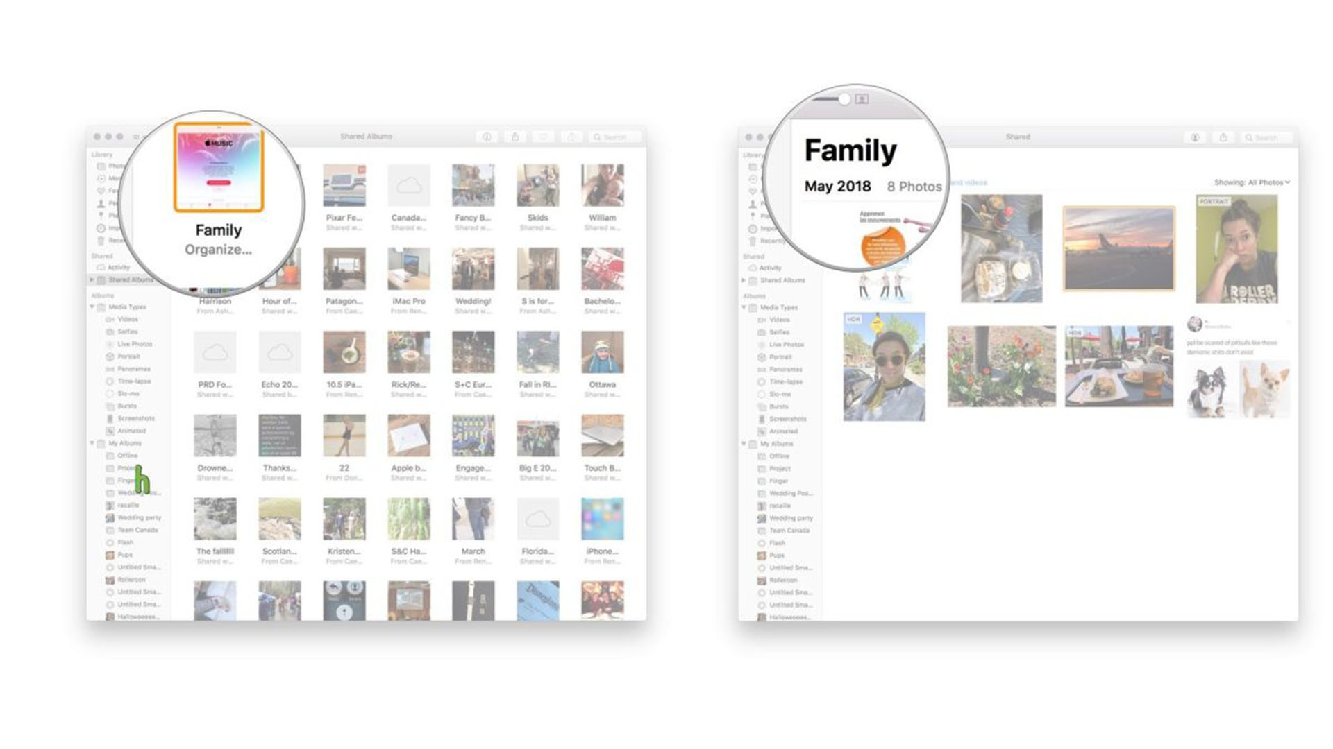 Просмотр семейного альбома на Mac: запуск фотографий, просмотр общих альбомов, выбор семейного альбома