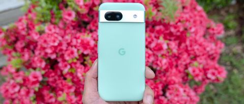 Google Pixel 8a held in hand with flowers in the background.