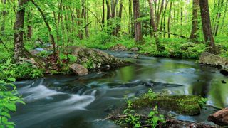 Sunrise along rock formations in Purgatory Chasm State Reservation