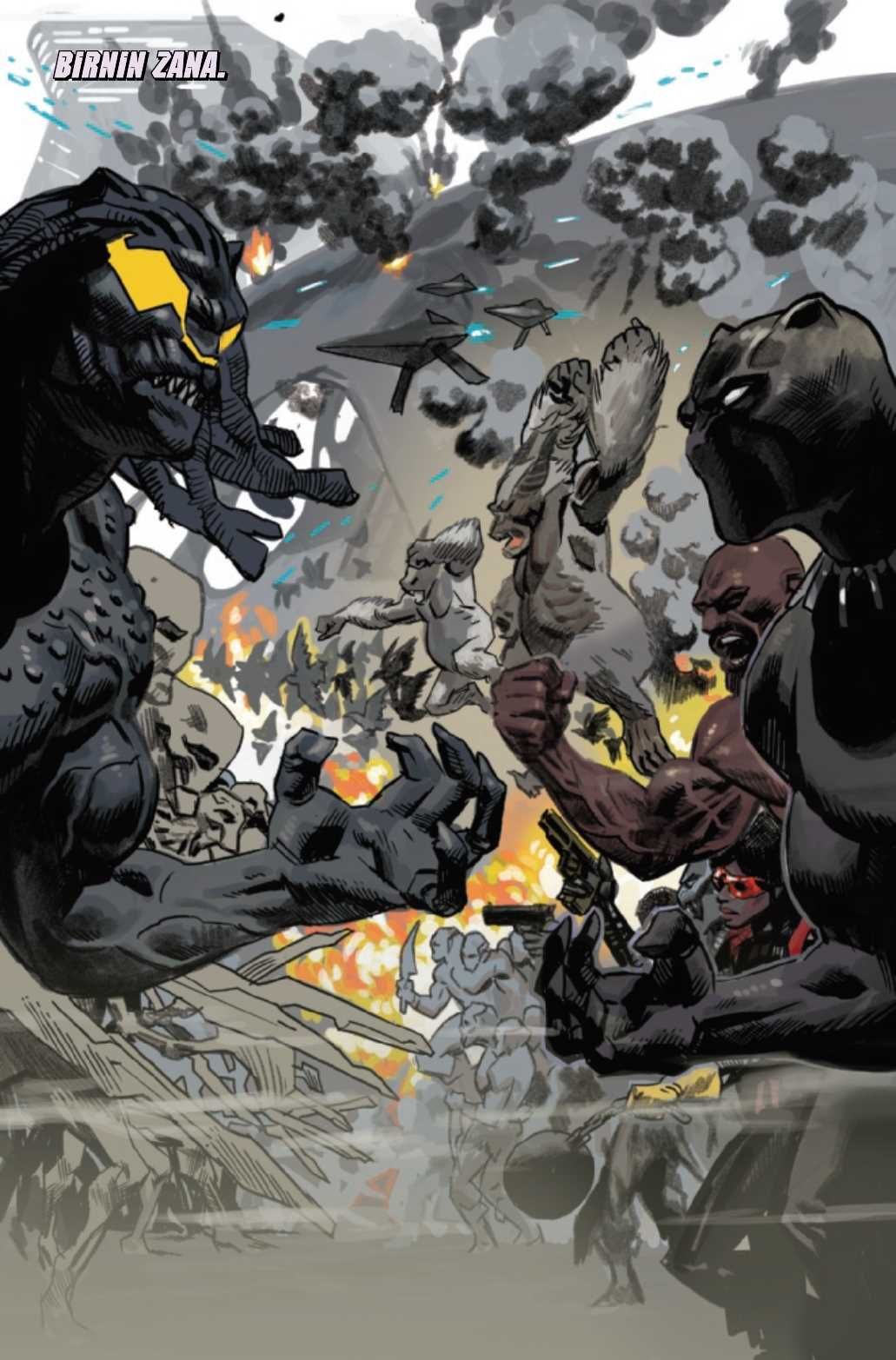 Black Panther #25