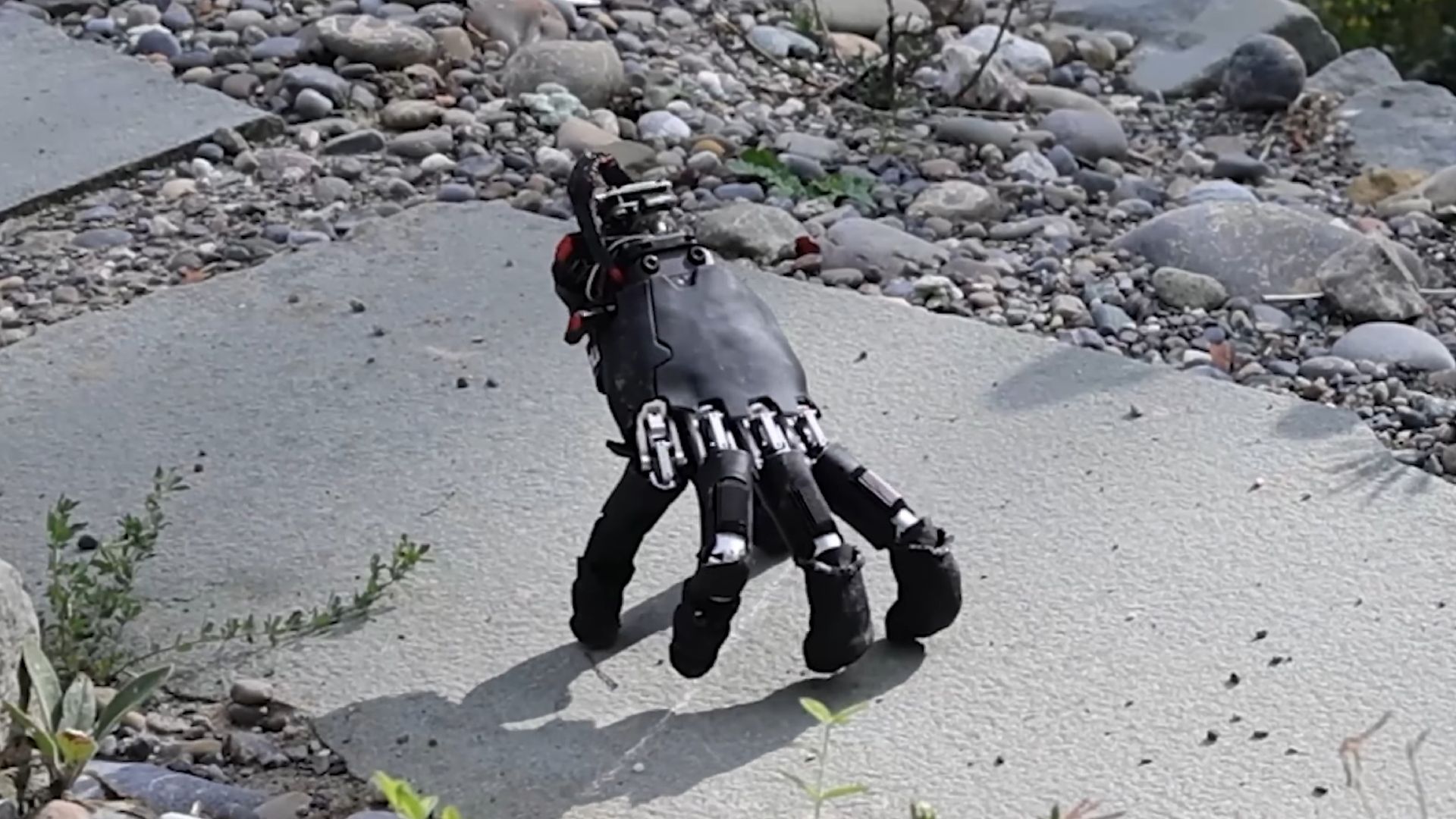 Mão robótica com IA caminha como aranha e parece saída de pesadelo