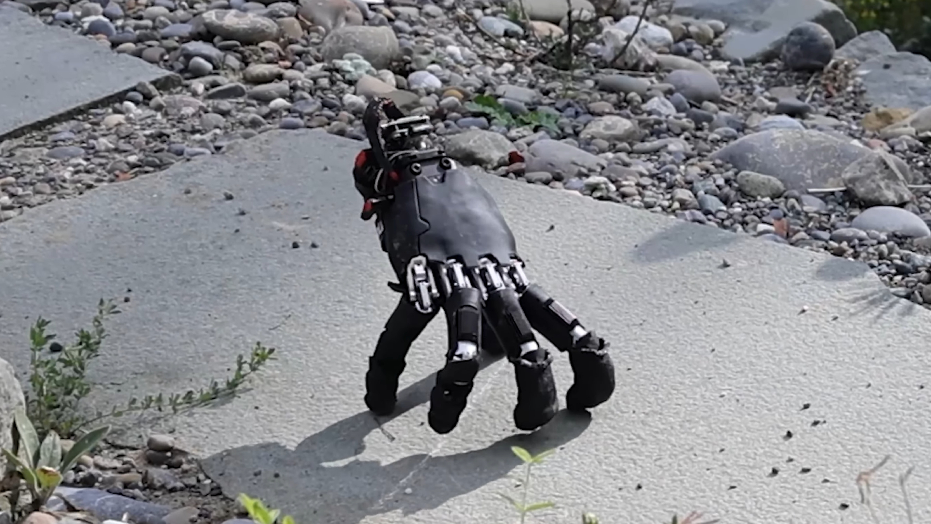 A disembodied robot hand walking on a paving slab in horrifying fashion