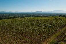 Exploring the southern Rhone