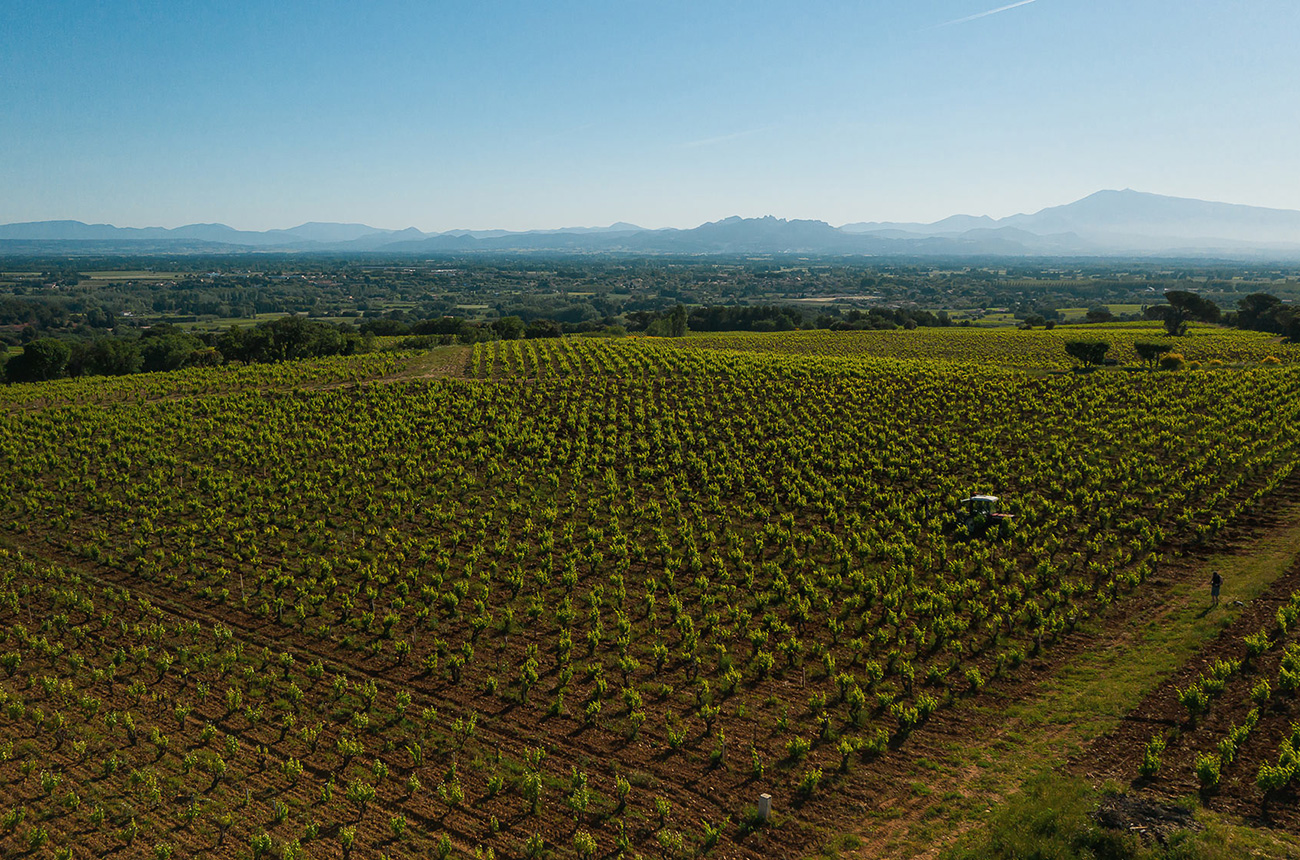 Exploring the southern Rhone