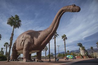 Two large dinosaurs made of concrete and steel in Cabazon, California