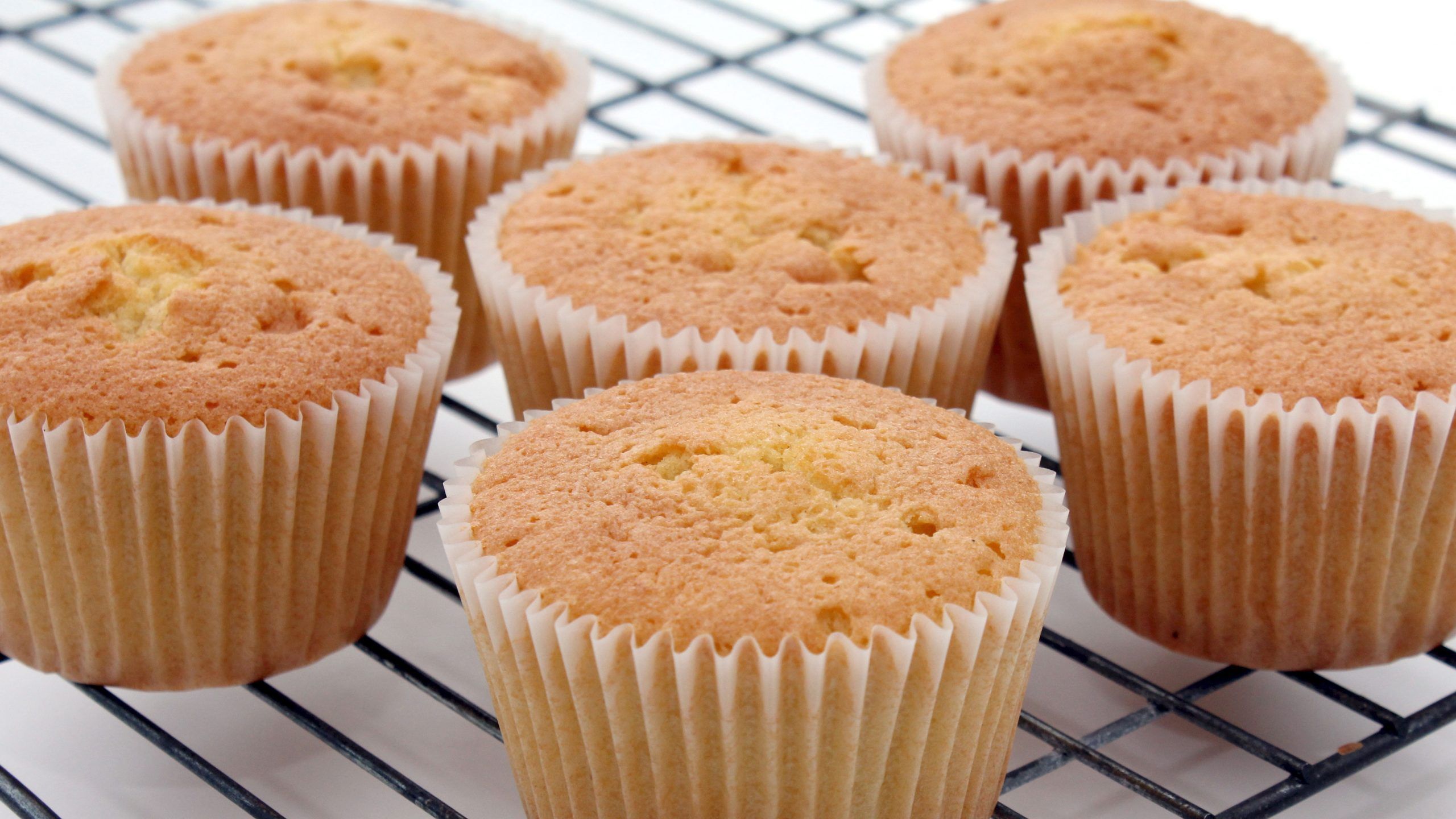 Basic cupcakes recipe
