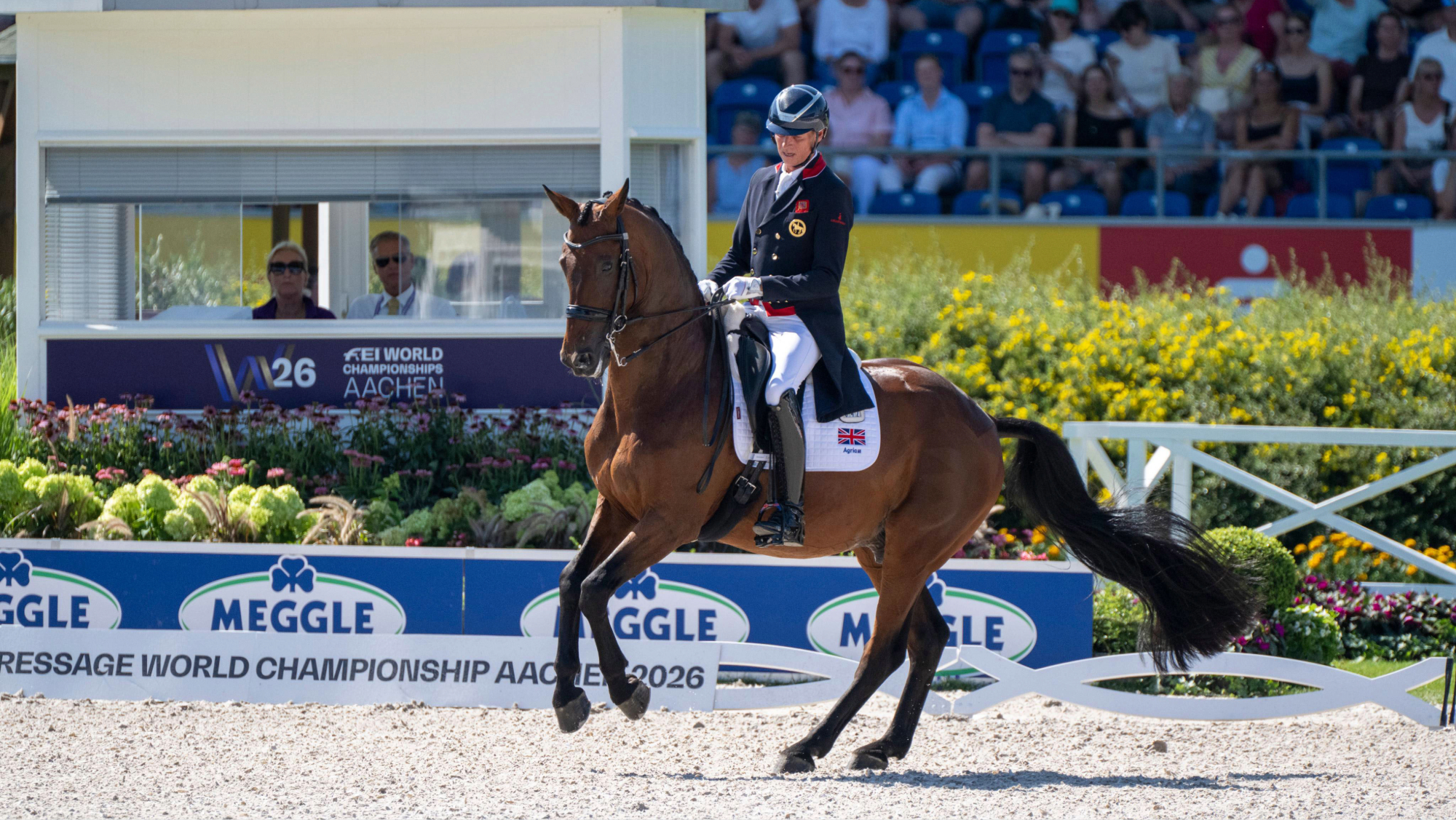 Carl Hester riding a pirouette on Fame in the grand prix special at the 2026 World Dressage Championships in Aachen