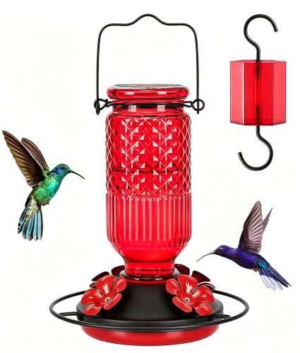 Glass Hummingbird Feeder