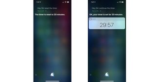 reset timer with siri