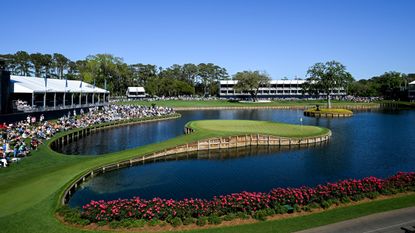 A general view of the 17th hole at TPC Sawgrass from the side