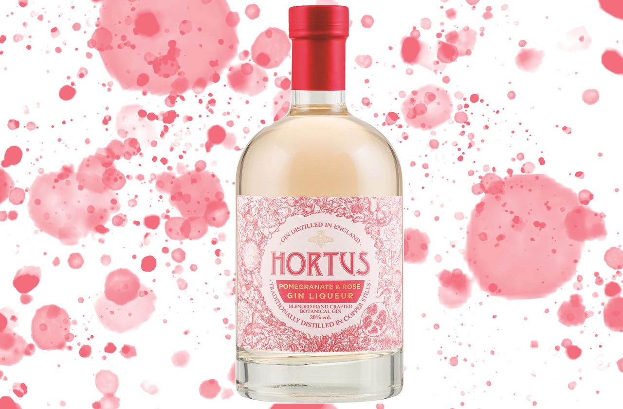 lidl hortus pomegranate gin