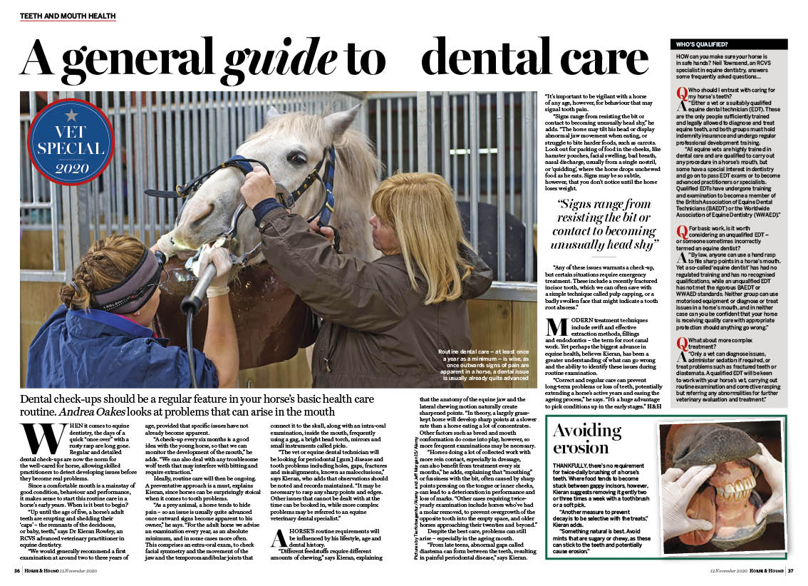 VET SPECIAL 2pp General teeth ca