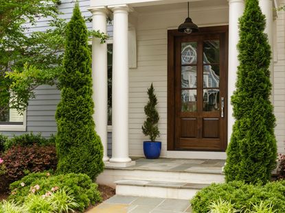 Columnar Trees At Front Door Of House