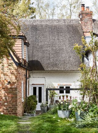 rear exterior of thatched cottage with brick section and white lime rendered section