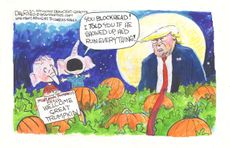 Political Cartoon