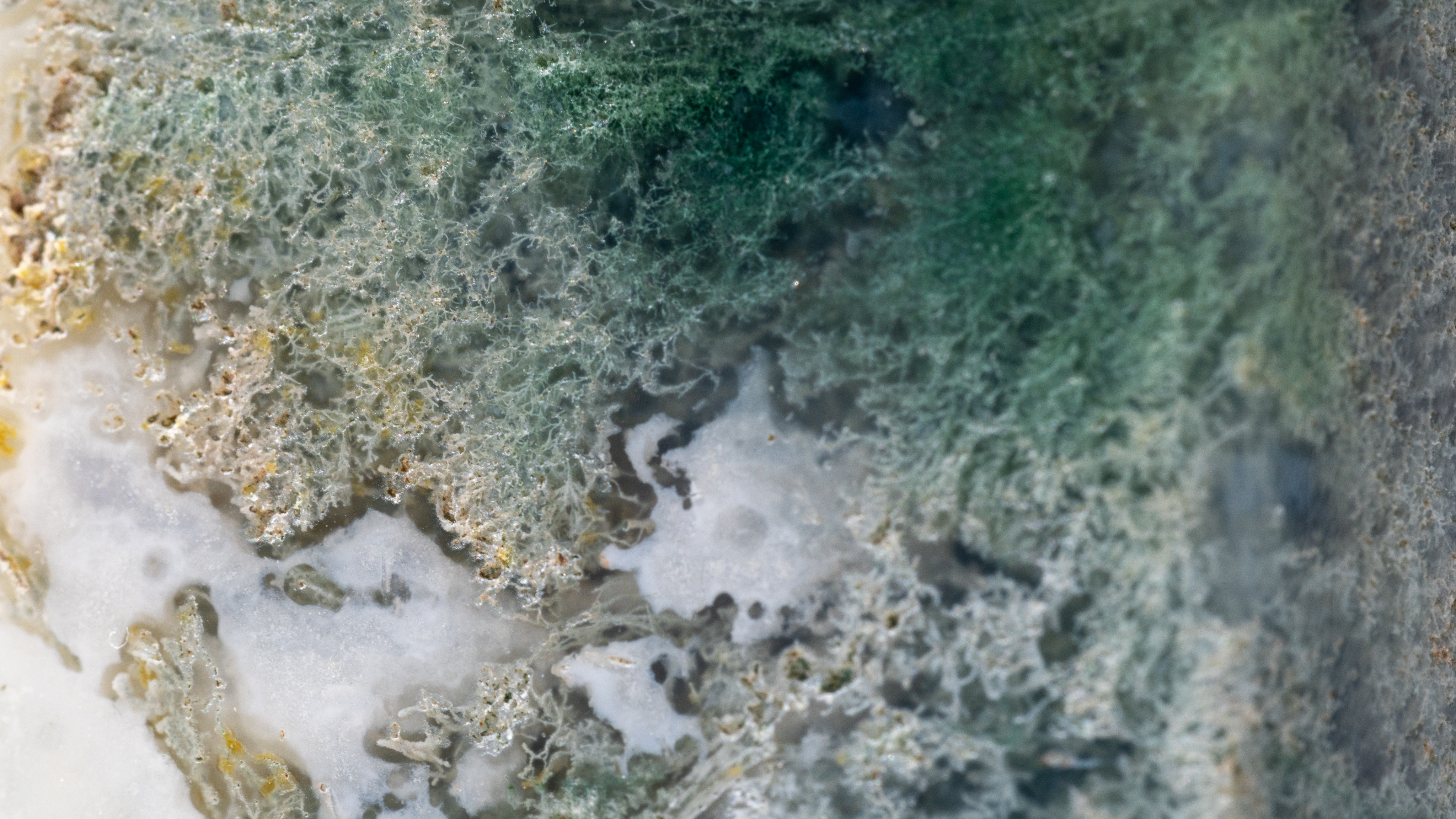 details on a moss agate tower