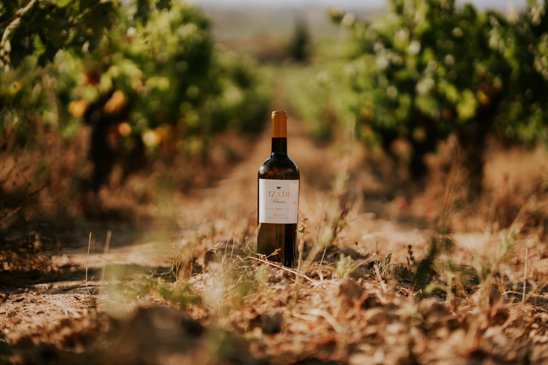 Bottle of Bodegas Izadi wine in the middle of a row of vines 