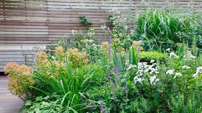 Fence color for pollinators