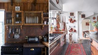 Homely kitchen trends 2023 with rugs, bookshelves and dog welcome in the kitchen