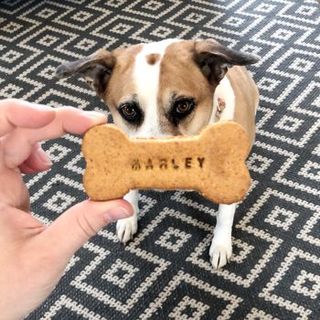Personalised Dog Biscuits by KELSO AND TITCH