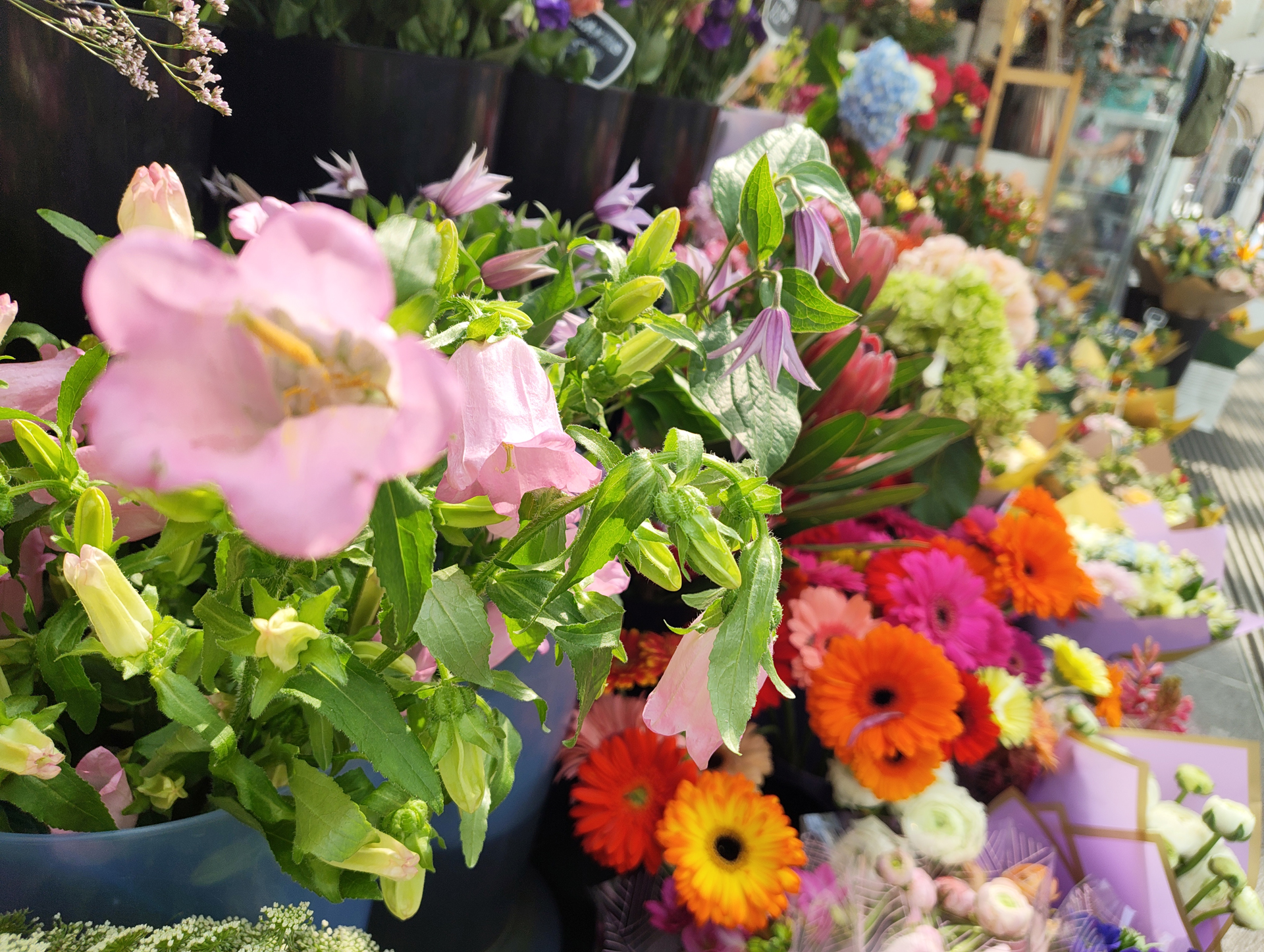 Nothing Phone (4a) camera samples