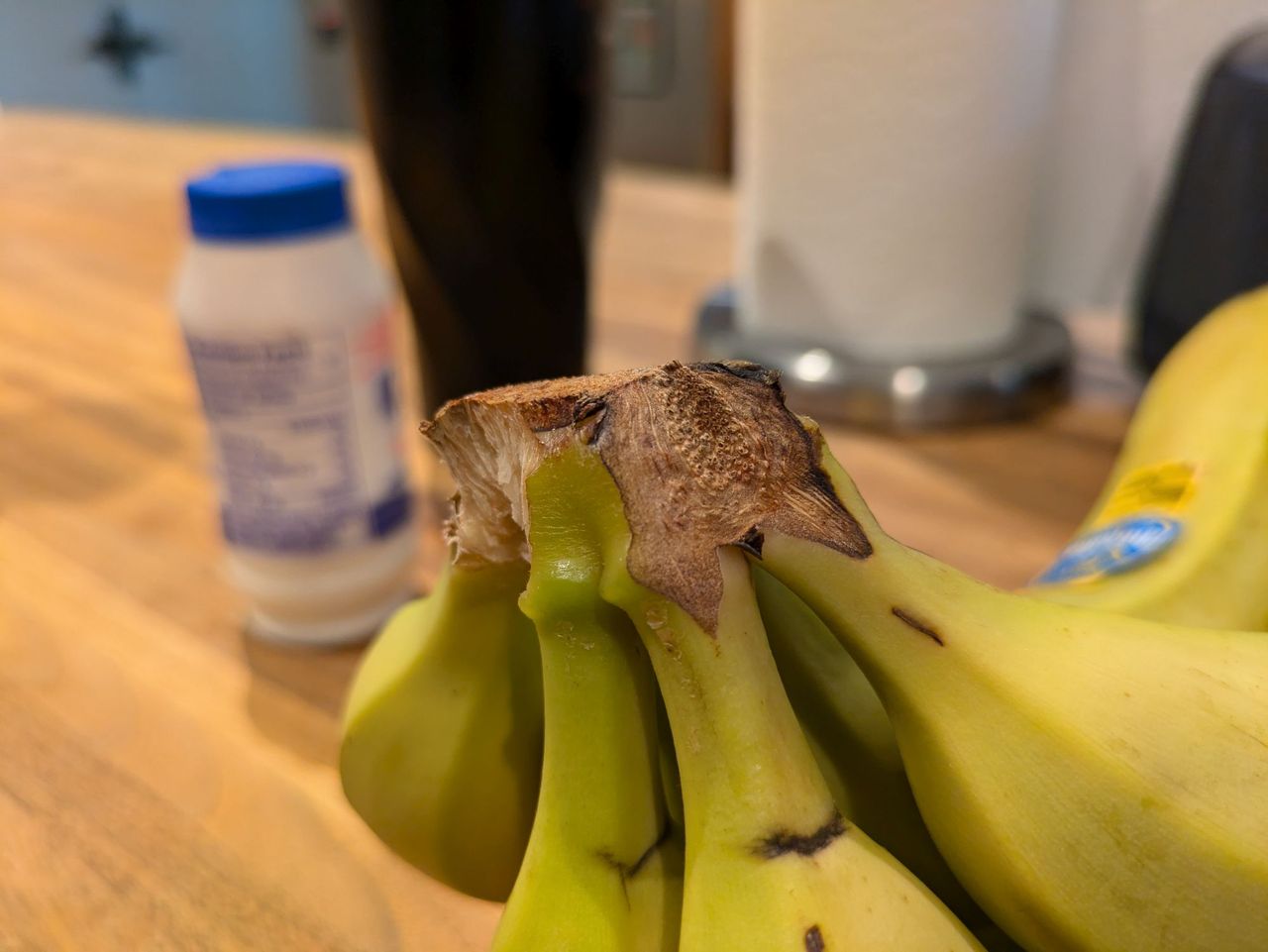 Google Pixel 8a macro sample.