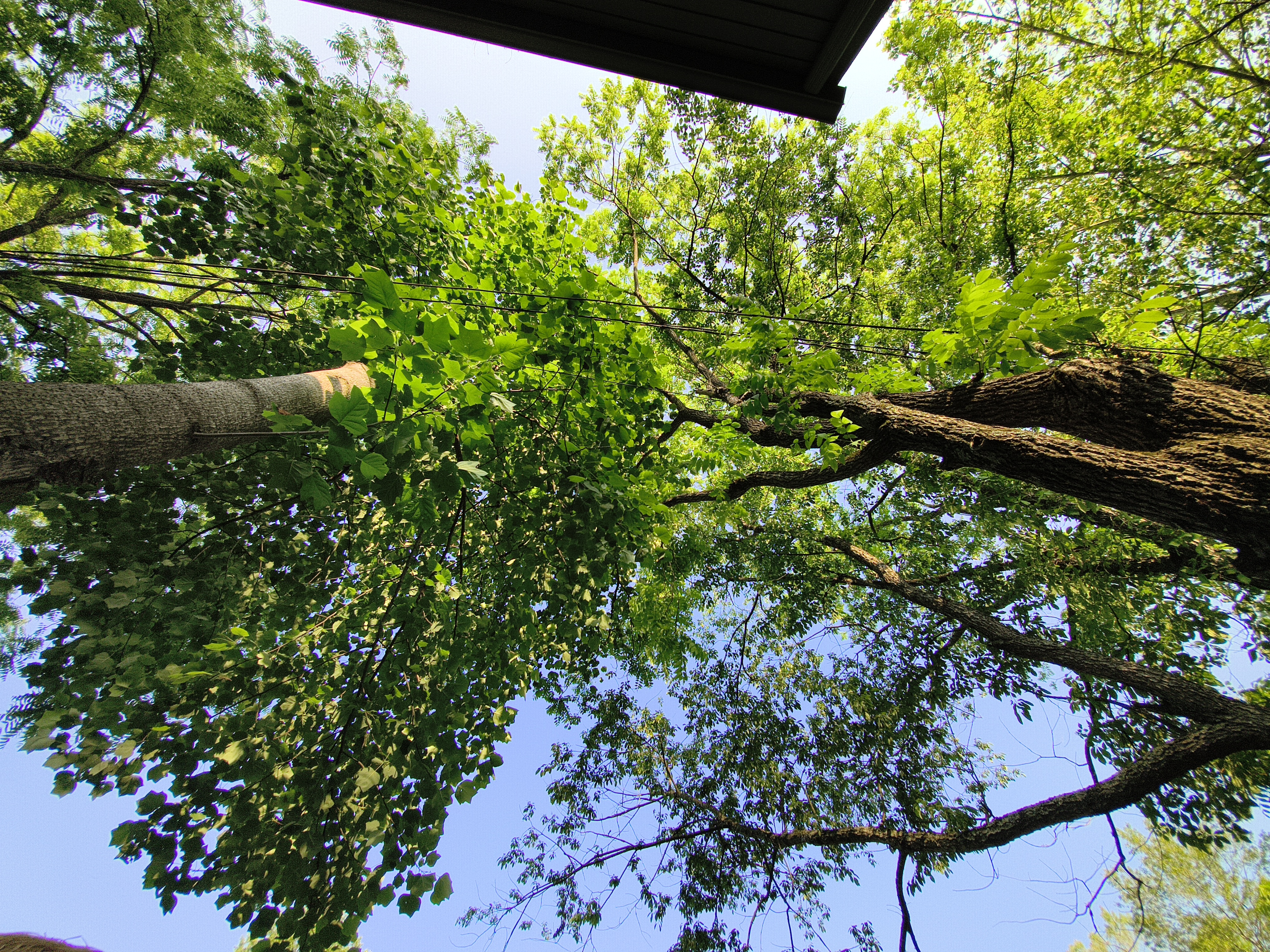 An ultrawide camera sample from the Motorola Edge 2025