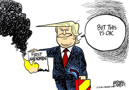 Political cartoon U.S. Donald Trump burning first amendment