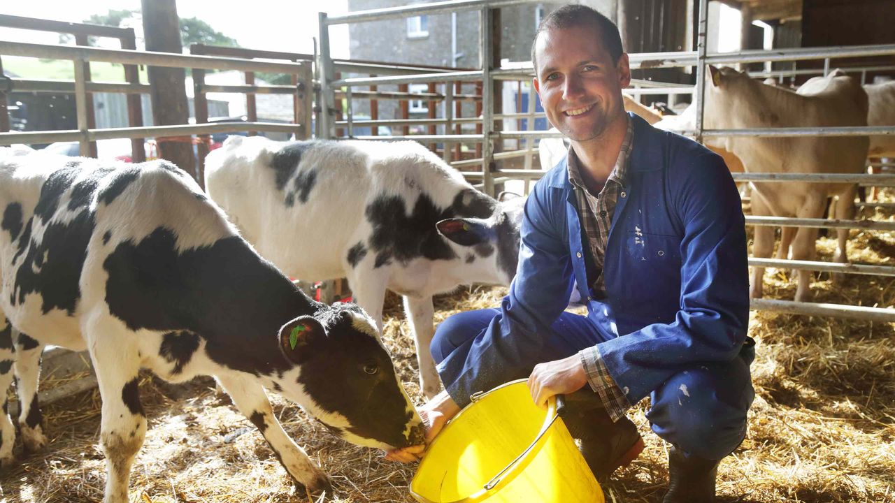 picture of a farmer feeding cows