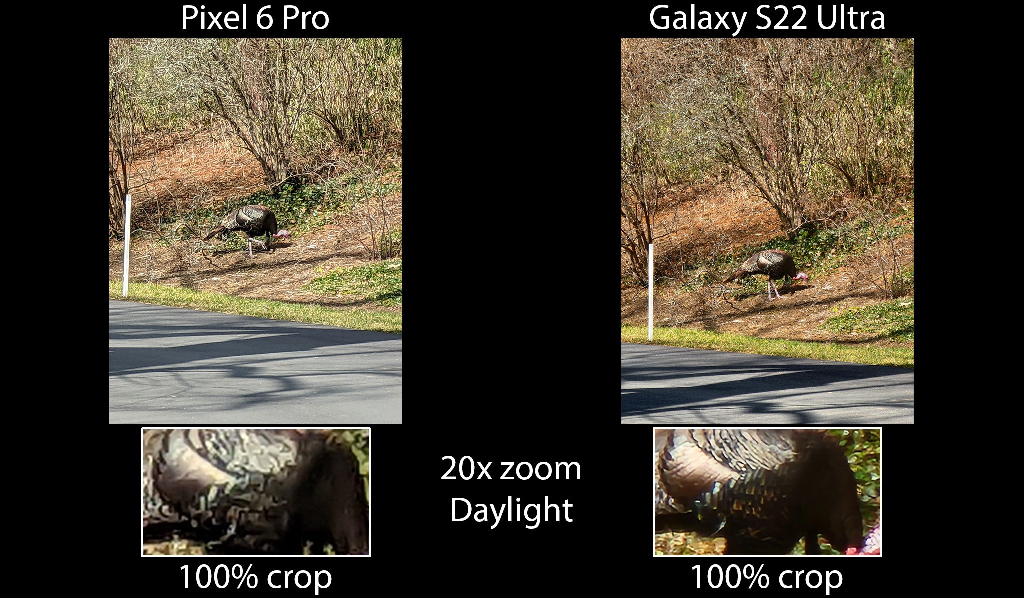 Galaxy S22 Ultra Vs Pixel 6 Pro 20x Tele