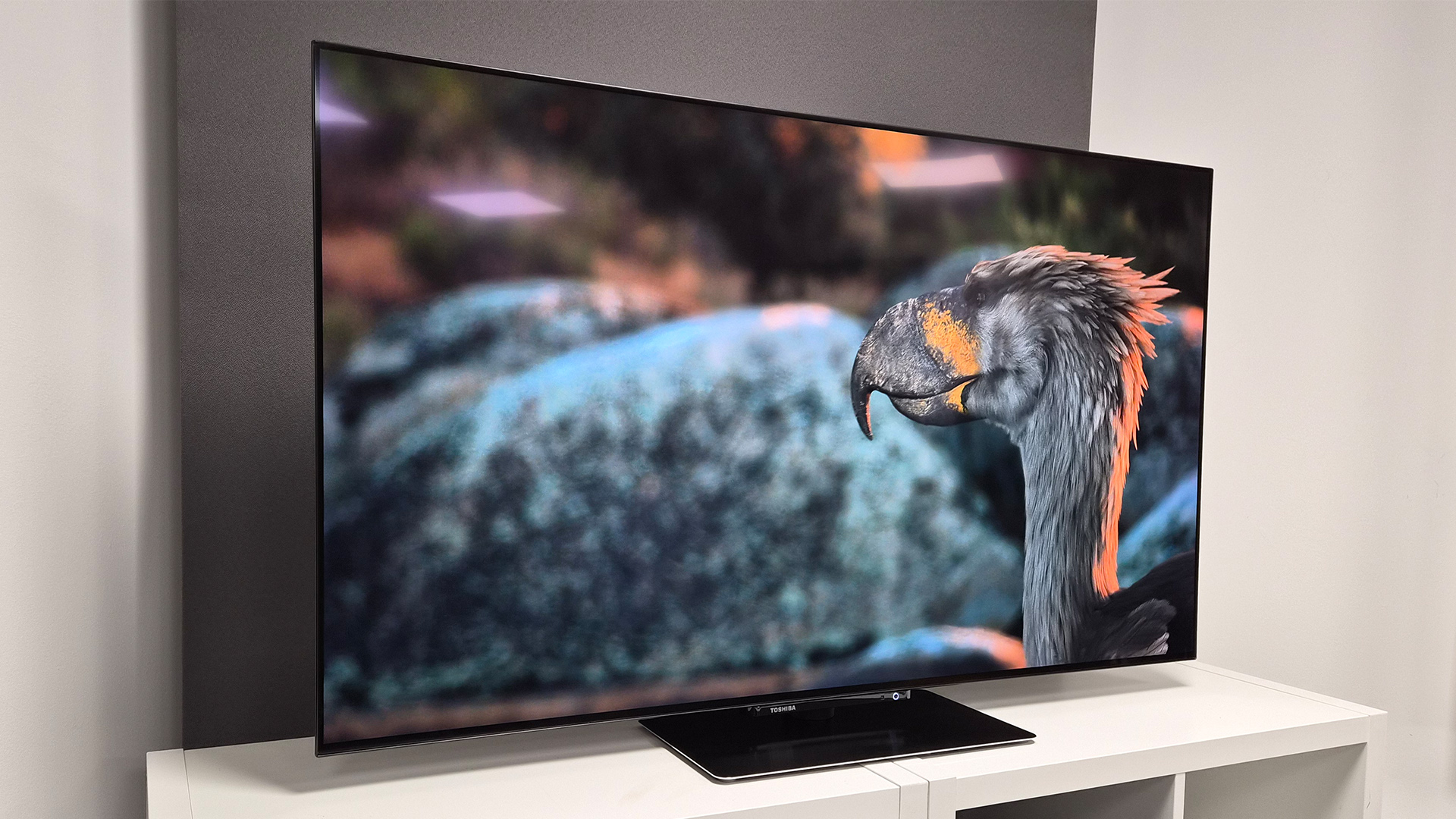 Toshiba XF9F OLED TV on white shelving unit, on screen is dodo type bird