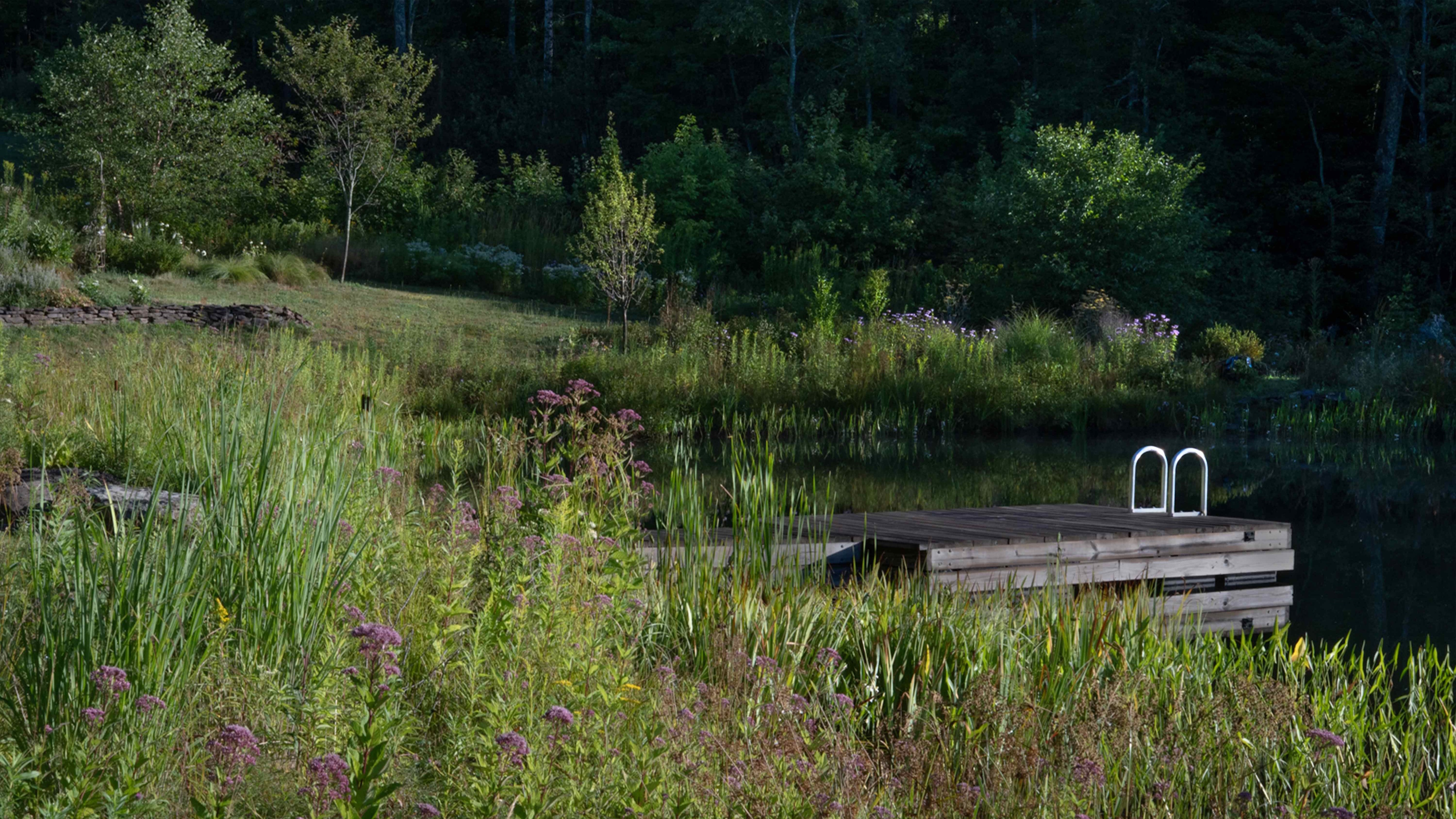 A wooden dock and natural pond in a vast Catskills garden surrounded by trees and shrubs