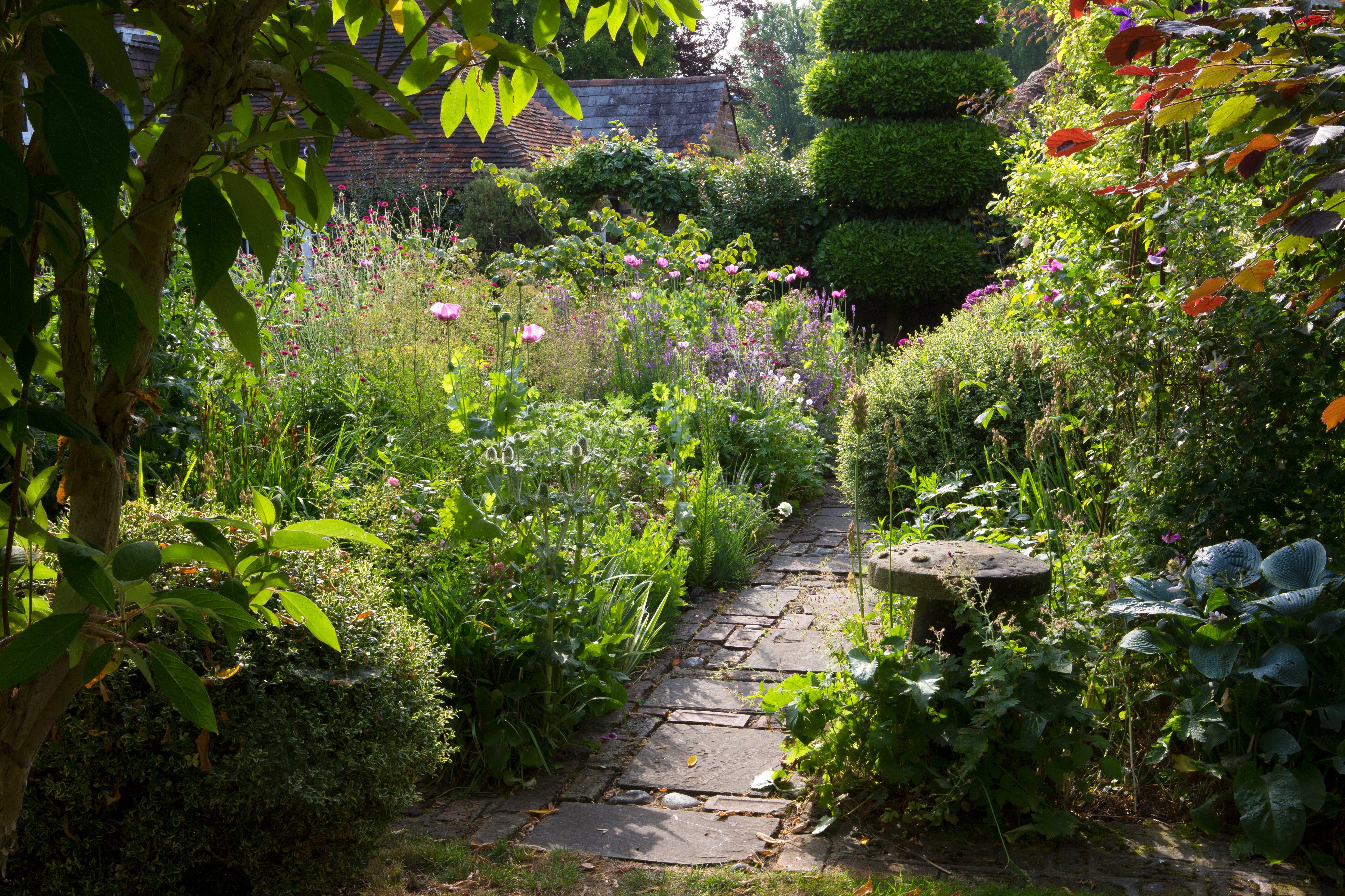 cottage garden with a path running through the centre