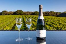 Freixenet Copestick acquires Bolney