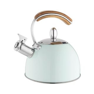 Pinky Up Presley Kettle in mint green