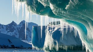 Antarctica, Petermann Island, Icicles hang from melting iceberg near Lemaire Channel.