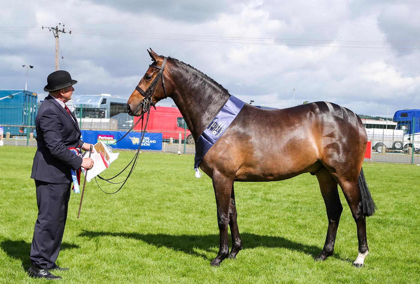 Royal Highland Show 2019