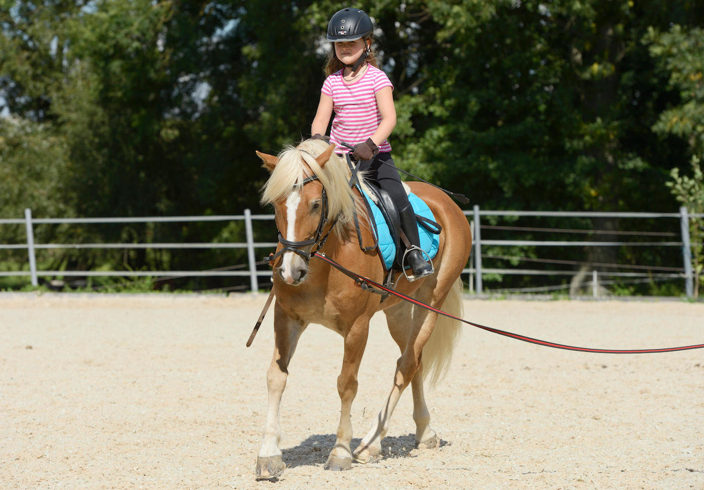 Child learning to ride on lunge