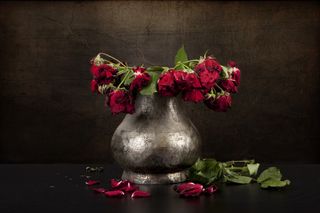 Bouquet of dead roses.