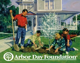 Planting trees on Arbor Day