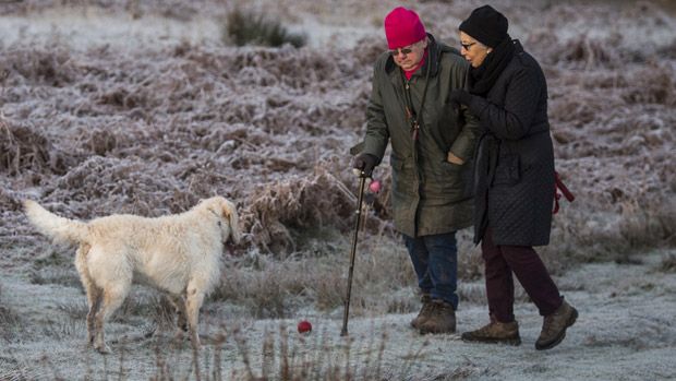 Couple walk with their dog in a freezing morning in London